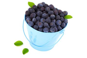 fresh blueberry in a blue mug with leaves, over a white backgrou