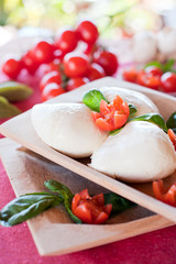 buffalo mozzarella basil and tomatoes