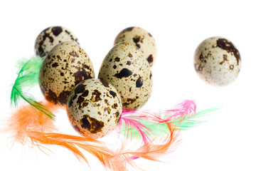 Obraz premium Easter Eggs with feathers .