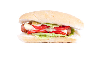 one delicious hot dog