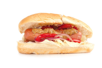one delicious hot dog
