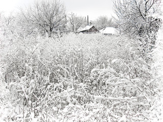 Village In Winter. Snow Landscape.