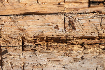 old yellow wood wall texture