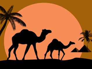 Camel and palms on sunset background