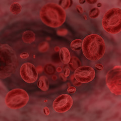 Red Blood Cells