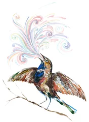 Türaufkleber Gemälde bird