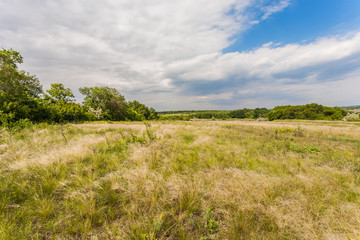 Fototapeta na wymiar Meadow with green grass and blue sky
