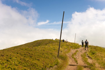 Walking trail to the summit Tarnica in the. Poland