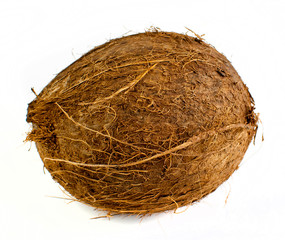 coconut