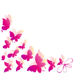Plakat butterfly,butterflies vector
