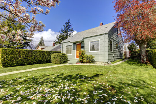 Small Green House Exterior With Spring Blooming Trees.