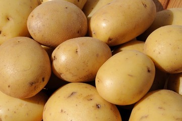 Ceasar potatoes © Arena Photo UK