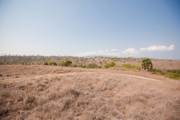 Panorama of Rinca island