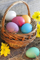 Colorful easter eggs in the basket closeup