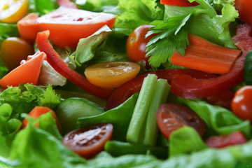salad with vegetable