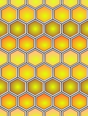 Honey background
