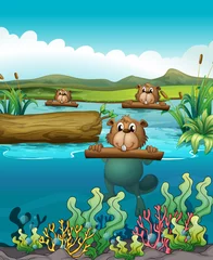 Foto op Plexiglas Onderwaterwereld Drie bevers in de rivier