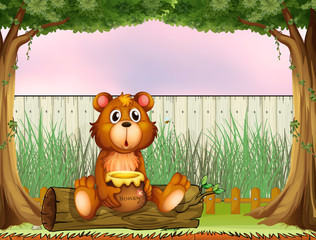A bear above a trunk holding a honey