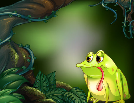 A lonely frog in a rainforest
