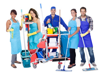 Group of professional cleaners