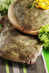 fresh turbot
