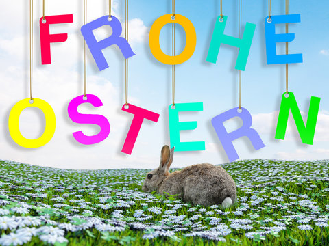 Frohe Ostern Osterhase Fr&uuml;hlingswiese