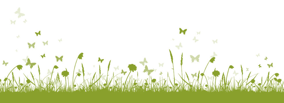 Gr&uuml;ne Blumenwiese