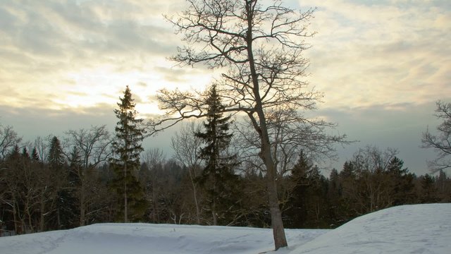 winter landscape, timelapse
