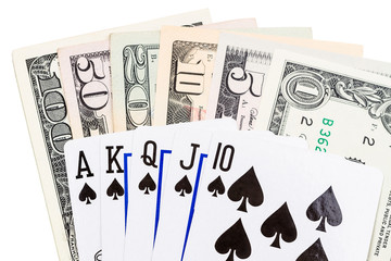 Fototapeta na wymiar Czarny Dolar królewski