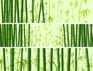 Horizontal banner with many bamboos.