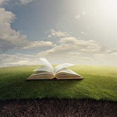 Bible on grass.