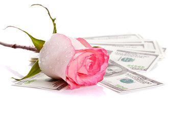 Pink flower and money.