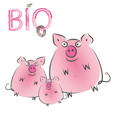 Bio - Schwein - Wurst - Fleisch - Gesundes Essen, Fleisch von glücklichen Schweinen, artgerechte Haltung unterstützen