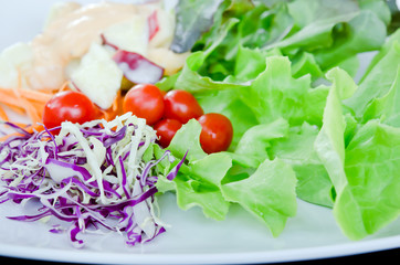 fresh vegetable salad