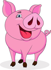 Funny pig cartoon