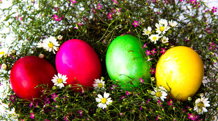 Colorful easter eggs on grass and flower