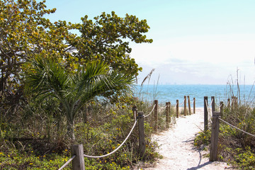 Fototapeta premium Weg zum Strand