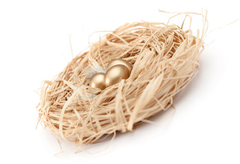Nest with golden quail eggs, isolated on white