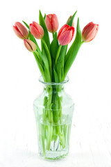 Red tulips in a vase on white background