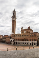 Fototapeta na wymiar Piazza del campo and public buildings, Siena (Italy)