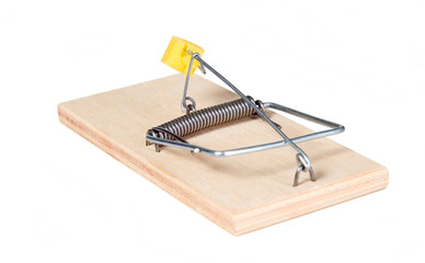 A mouse trap with cheese
