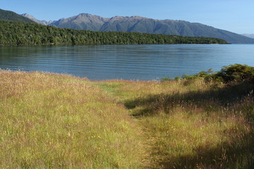 Fototapeta na wymiar użytki na jezioro Te Anau