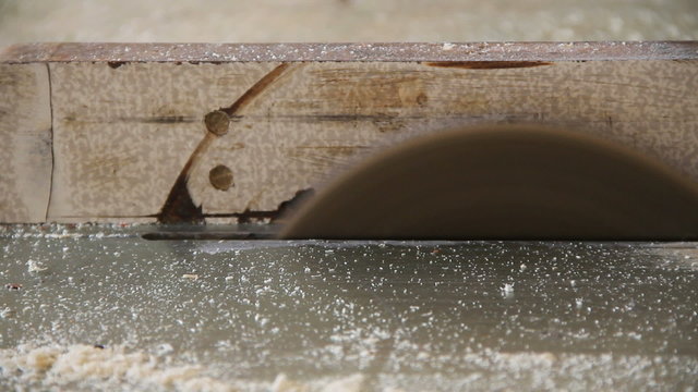Working carpenter.