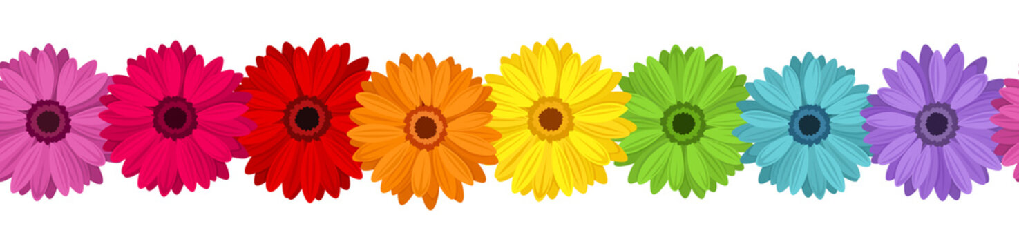 Horizontal seamless background with colored gerbera. Vector.