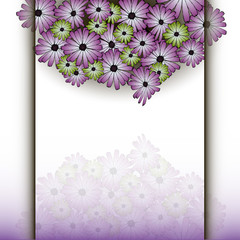 colorful flower with shadow background