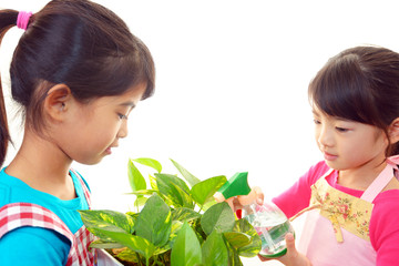 植物に水やりをする姉妹