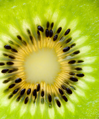 Close up on Kiwi fruit