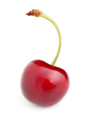 One ripe cherry in closeup
