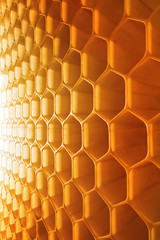 honeycomb as the perfect backdrop