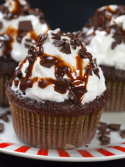 Chocolate cupcakes